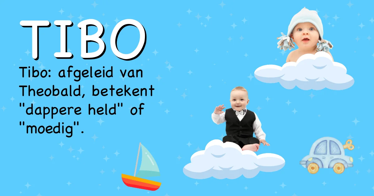 Betekenis van de naam Tibo - Ontdek de herkomst en betekenis van deze voornaam
