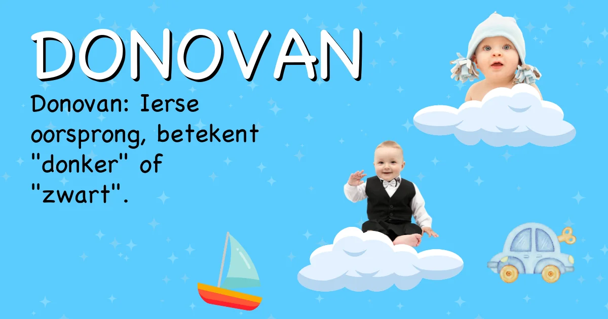 Betekenis van de naam Donovan - Ontdek de herkomst en betekenis van deze voornaam
