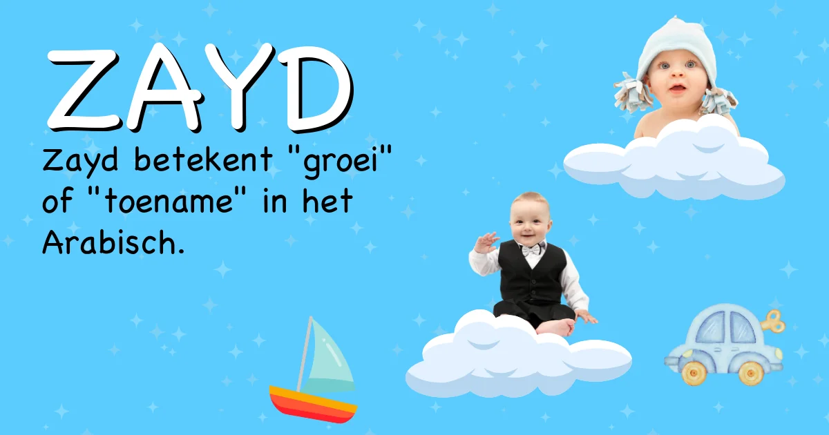 Betekenis van de naam Zayd - Ontdek de herkomst en betekenis van deze voornaam