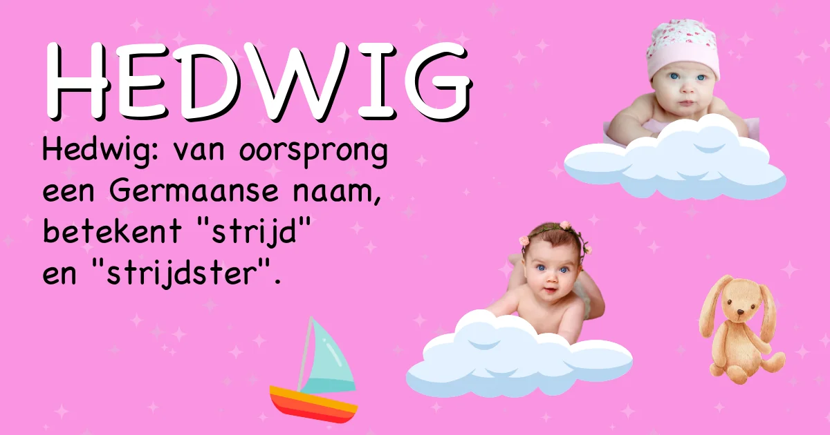 Betekenis van de naam Hedwig - Ontdek de herkomst en betekenis van deze voornaam