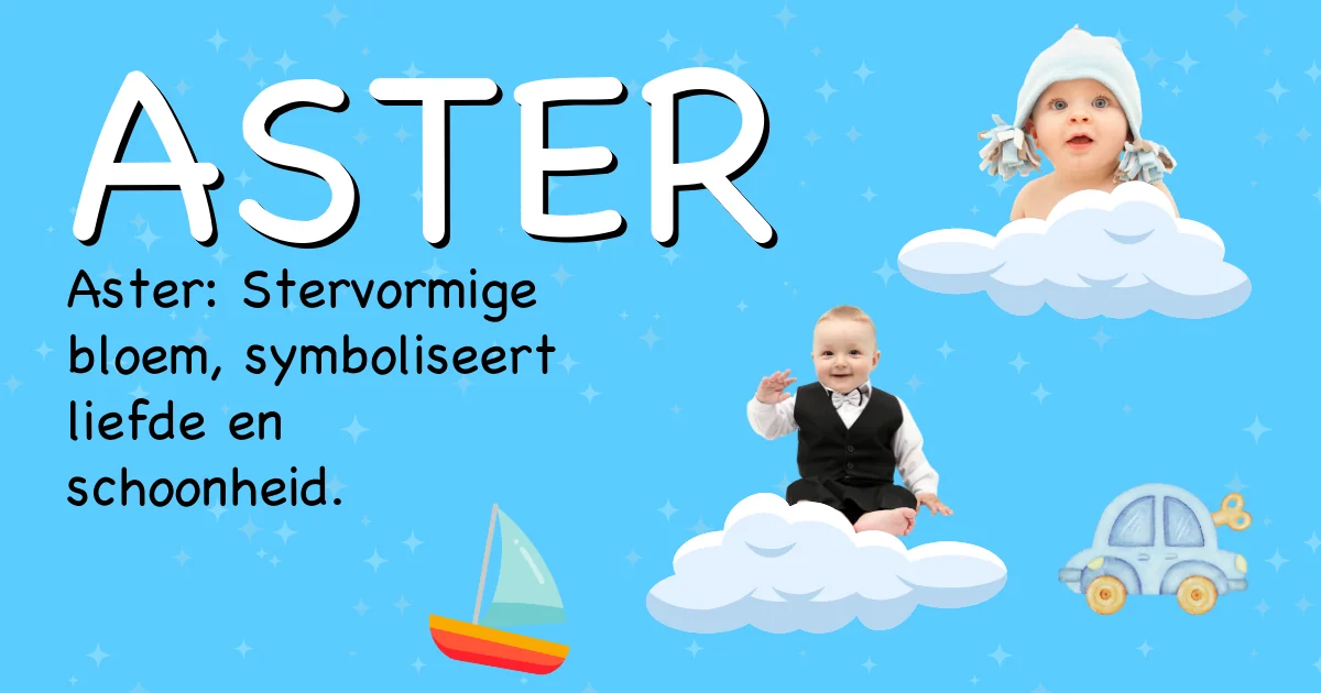 Betekenis van de naam Aster - Ontdek de herkomst en betekenis van deze voornaam