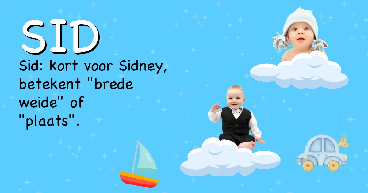 Betekenis van de naam Sid - Ontdek de herkomst en betekenis van deze voornaam