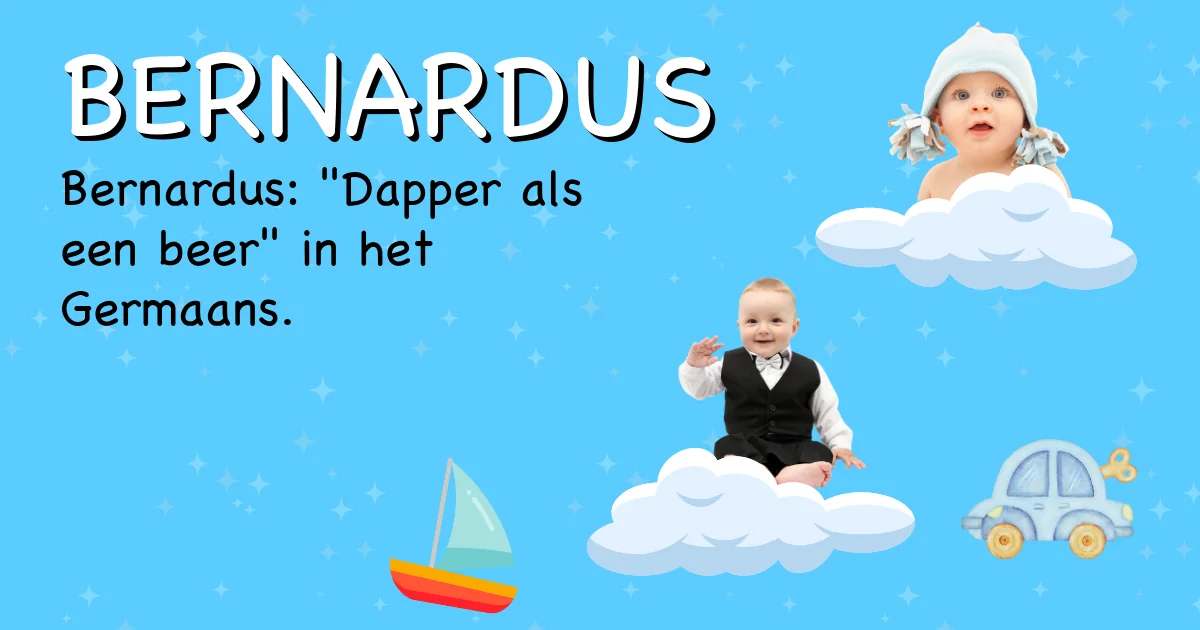 Betekenis van de naam Bernardus - Ontdek de herkomst en betekenis van deze voornaam