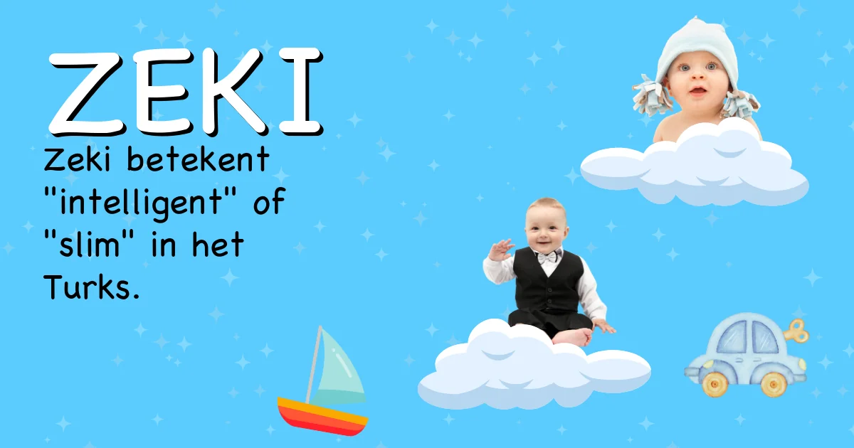 Betekenis van de naam Zeki - Ontdek de herkomst en betekenis van deze voornaam