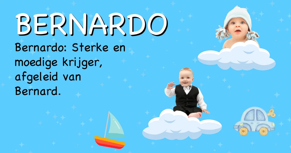 Betekenis van de naam Bernardo - Ontdek de herkomst en betekenis van deze voornaam