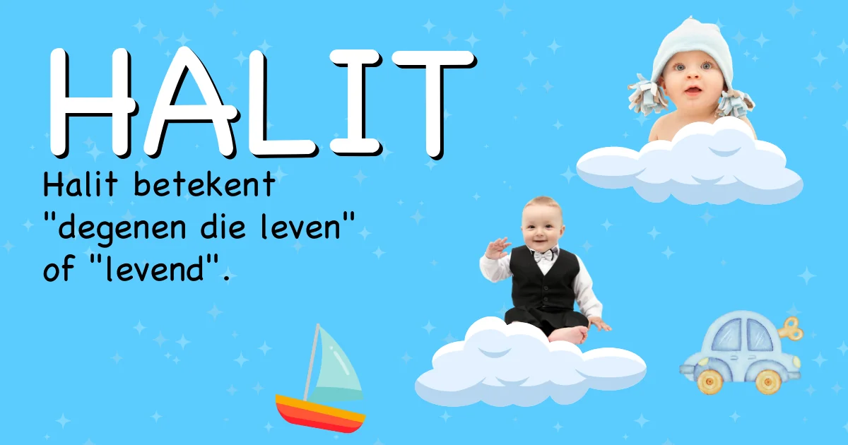 Betekenis van de naam Halit - Ontdek de herkomst en betekenis van deze voornaam