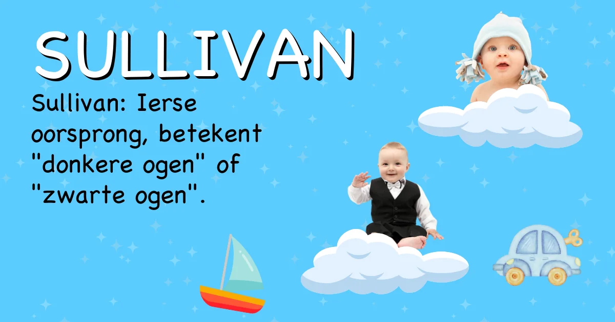 Betekenis van de naam Sullivan - Ontdek de herkomst en betekenis van deze voornaam