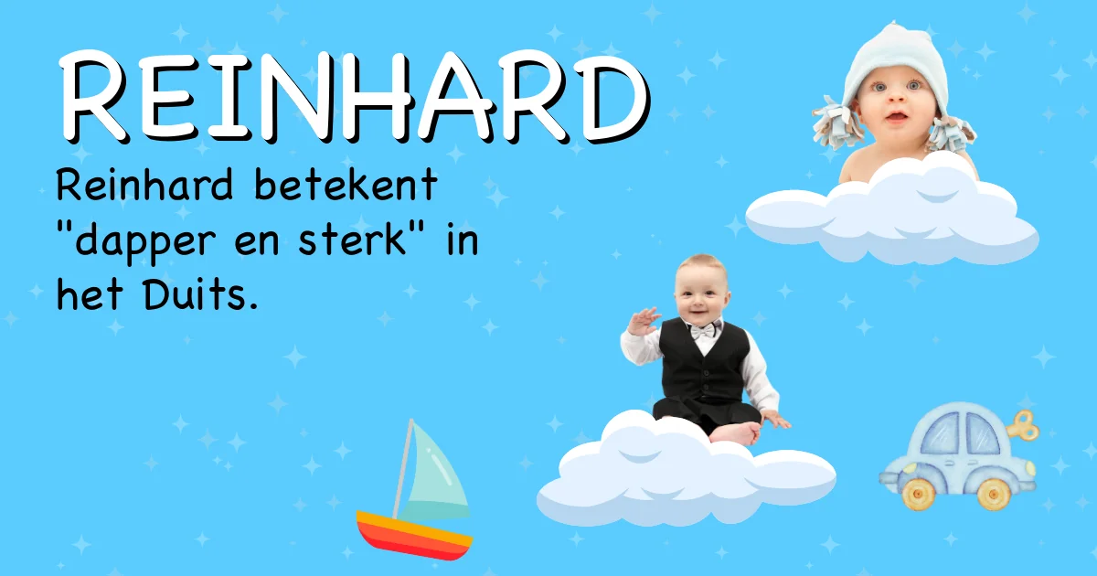 Betekenis van de naam Reinhard - Ontdek de herkomst en betekenis van deze voornaam