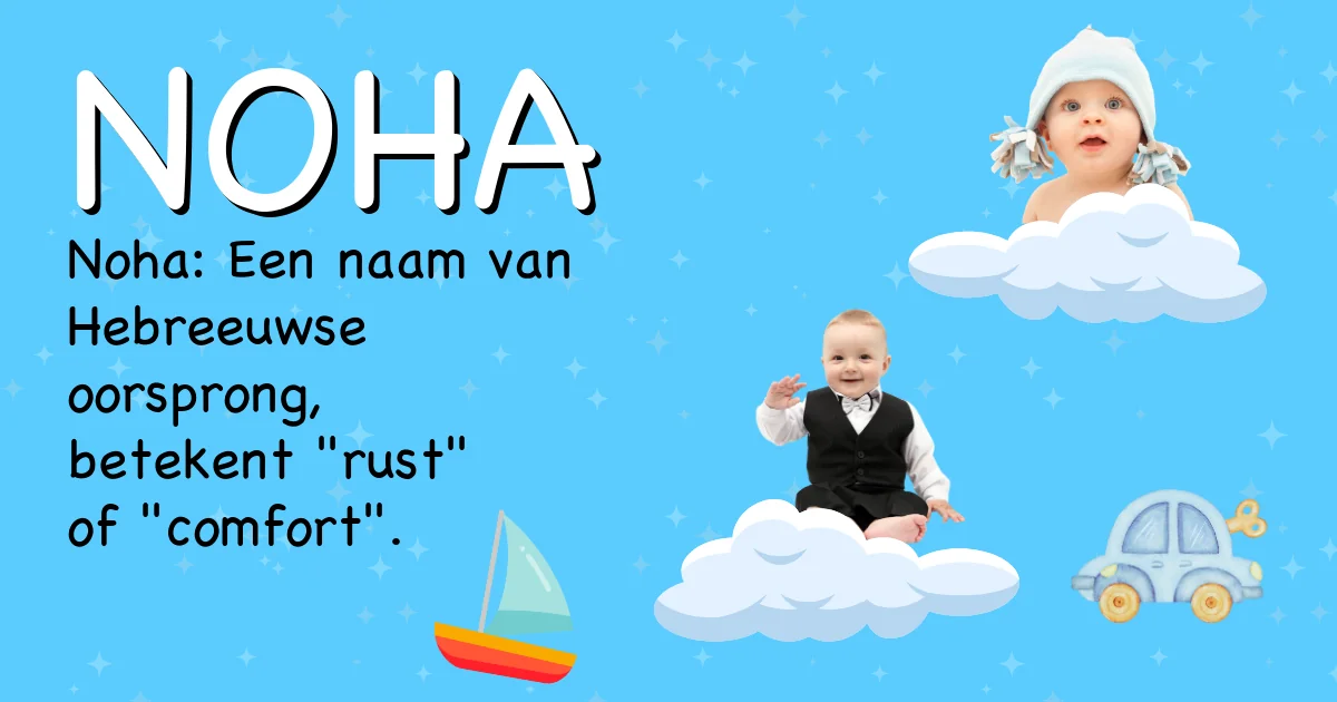 Betekenis van de naam Noha - Ontdek de herkomst en betekenis van deze voornaam