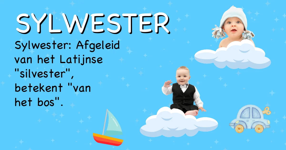 Betekenis van de naam Sylwester - Ontdek de herkomst en betekenis van deze voornaam