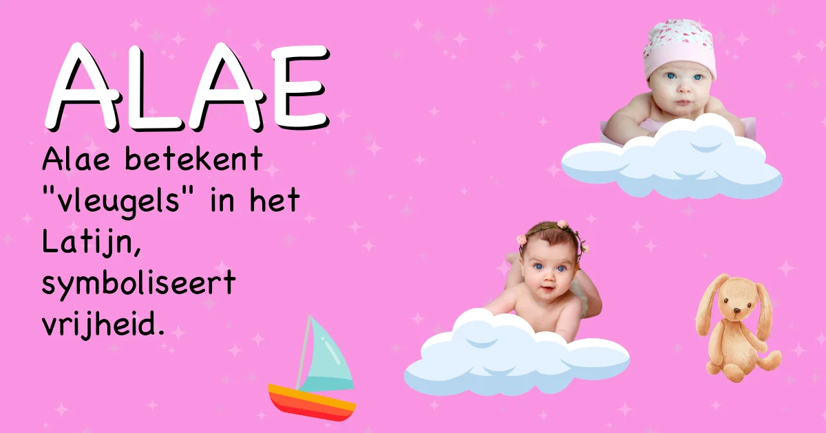 Betekenis van de naam Alae - Ontdek de herkomst en betekenis van deze voornaam