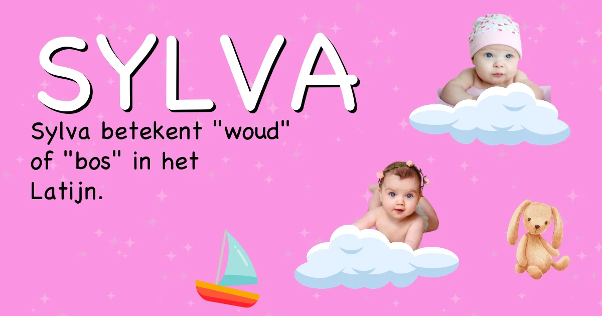 Betekenis van de naam Sylva - Ontdek de herkomst en betekenis van deze voornaam