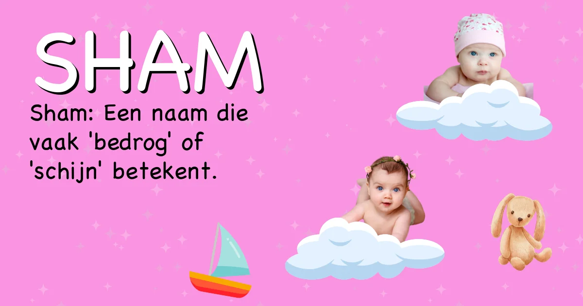 Betekenis van de naam Sham - Ontdek de herkomst en betekenis van deze voornaam