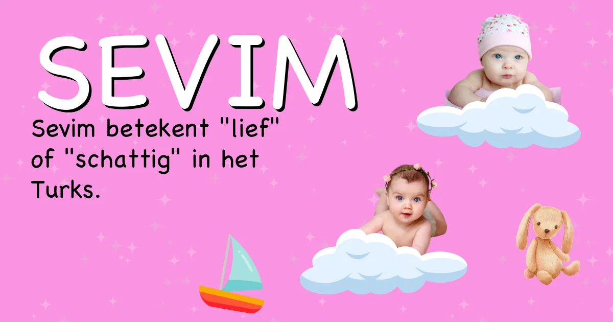 Betekenis van de naam Sevim - Ontdek de herkomst en betekenis van deze voornaam