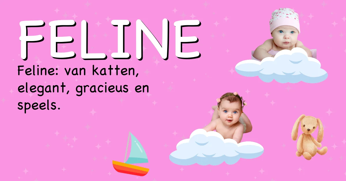 Betekenis van de naam Feline - Ontdek de herkomst en betekenis van deze voornaam
