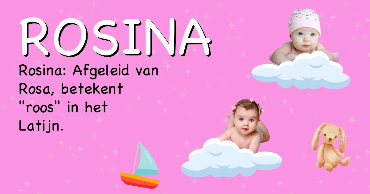 Betekenis van de naam Rosina - Ontdek de herkomst en betekenis van deze voornaam