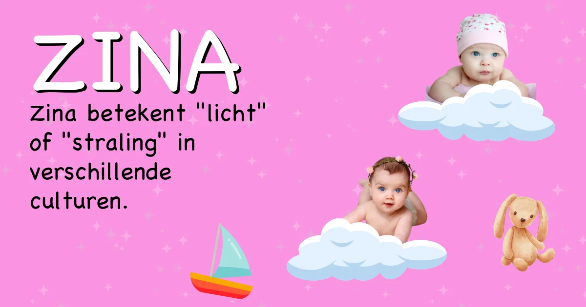 Betekenis van de naam Zina - Ontdek de herkomst en betekenis van deze voornaam