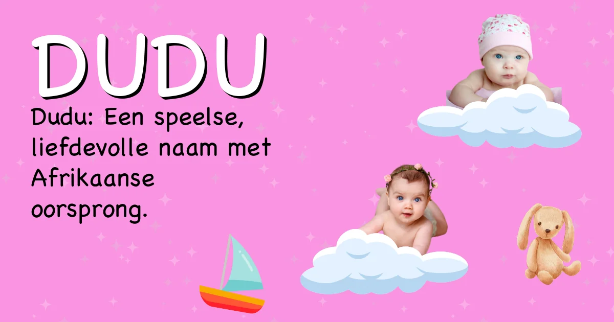 Betekenis van de naam Dudu - Ontdek de herkomst en betekenis van deze voornaam