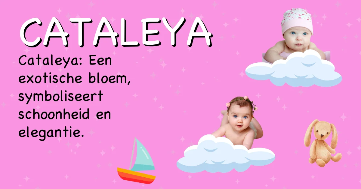 Betekenis van de naam Cataleya - Ontdek de herkomst en betekenis van deze voornaam
