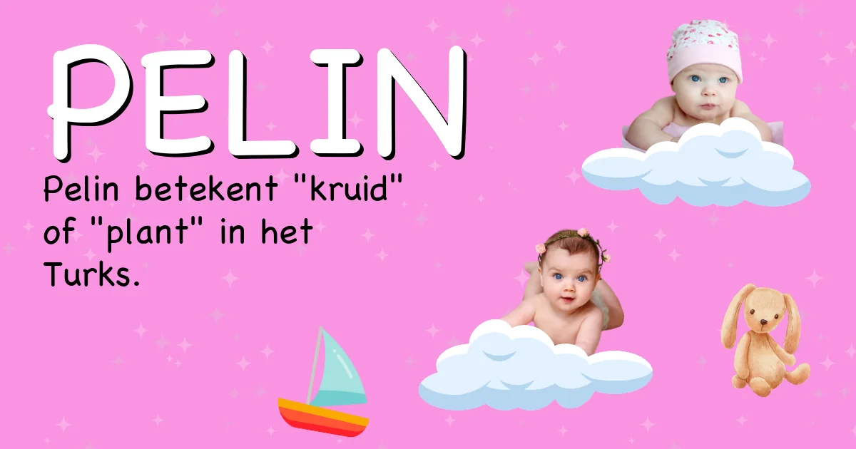 Betekenis van de naam Pelin - Ontdek de herkomst en betekenis van deze voornaam