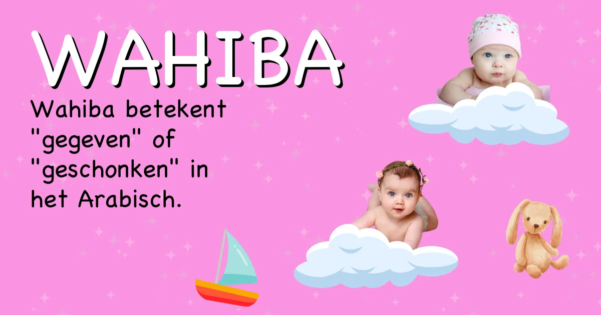 Betekenis van de naam Wahiba - Ontdek de herkomst en betekenis van deze voornaam