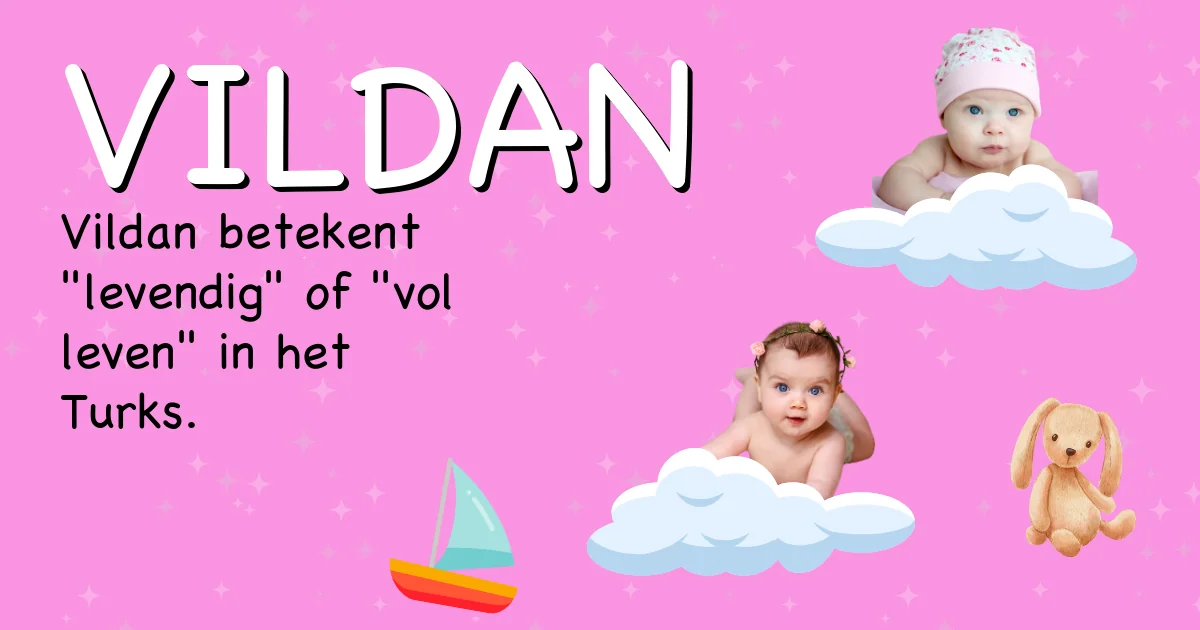 Betekenis van de naam Vildan - Ontdek de herkomst en betekenis van deze voornaam