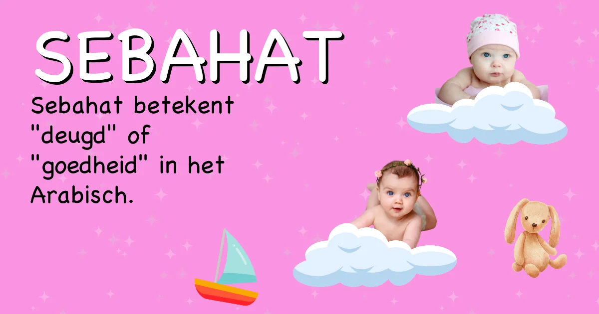 Betekenis van de naam Sebahat - Ontdek de herkomst en betekenis van deze voornaam